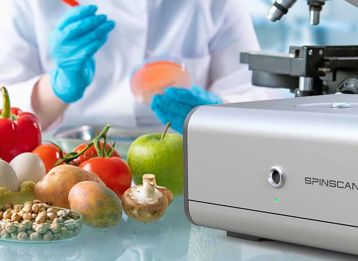 EPR (ESR) in food chemistry